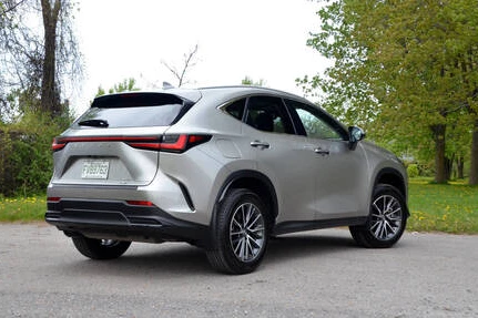 Miniaturansicht von Lexus NX 300h AWD Premium Rückansicht