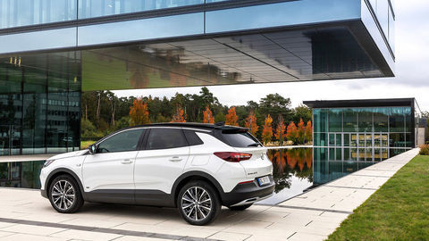 Opel Grandland X 1.5 CDTI 130hp Elegance Rückansicht